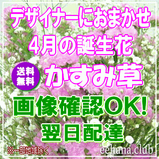 ■フラワーデザイナーにおまかせの人気のシリーズです 15時までのご注文で翌日配達ＯＫ！ （北海道・青森・宮崎・鹿児島・沖縄・一部離島は翌々日） ●お届けしたお花の画像が確認できます！ 全国どこでも【送