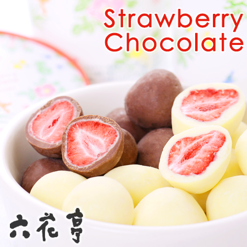六花亭 ストロベリーチョコセット（ミルク・ホワイト） / 北海道お土産 お返し 友人 贈り物 かわいい いちご ドライフルーツ 母の日