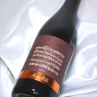 フェウド アランチョ カントドーロ 750ml / イタリア シチリア/赤ワイン